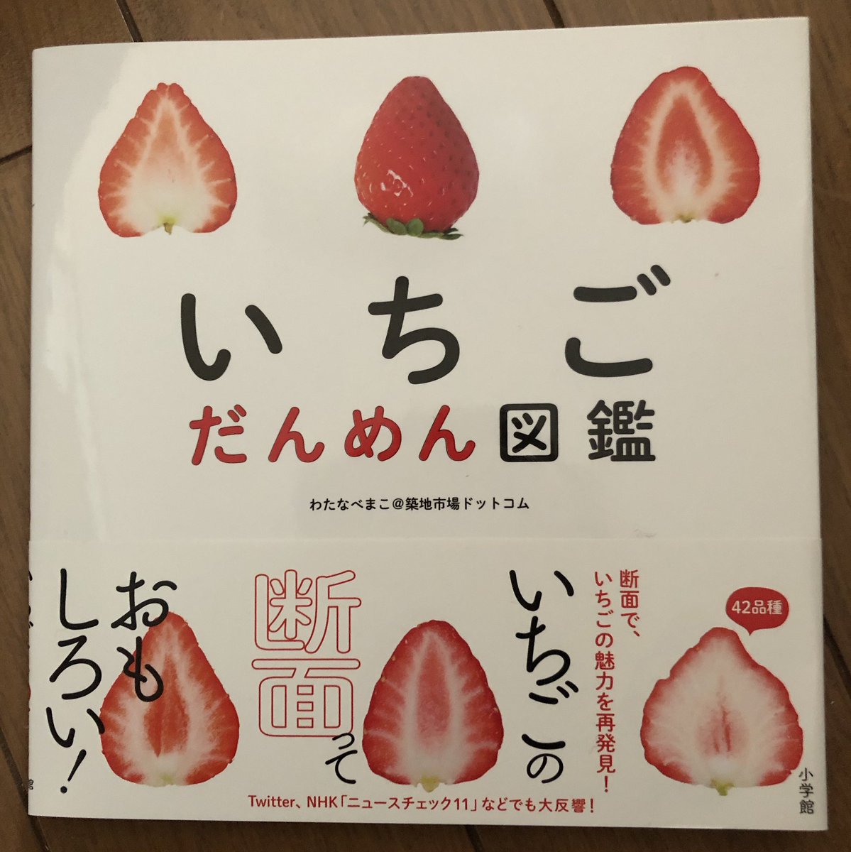 いちごだんめん図鑑