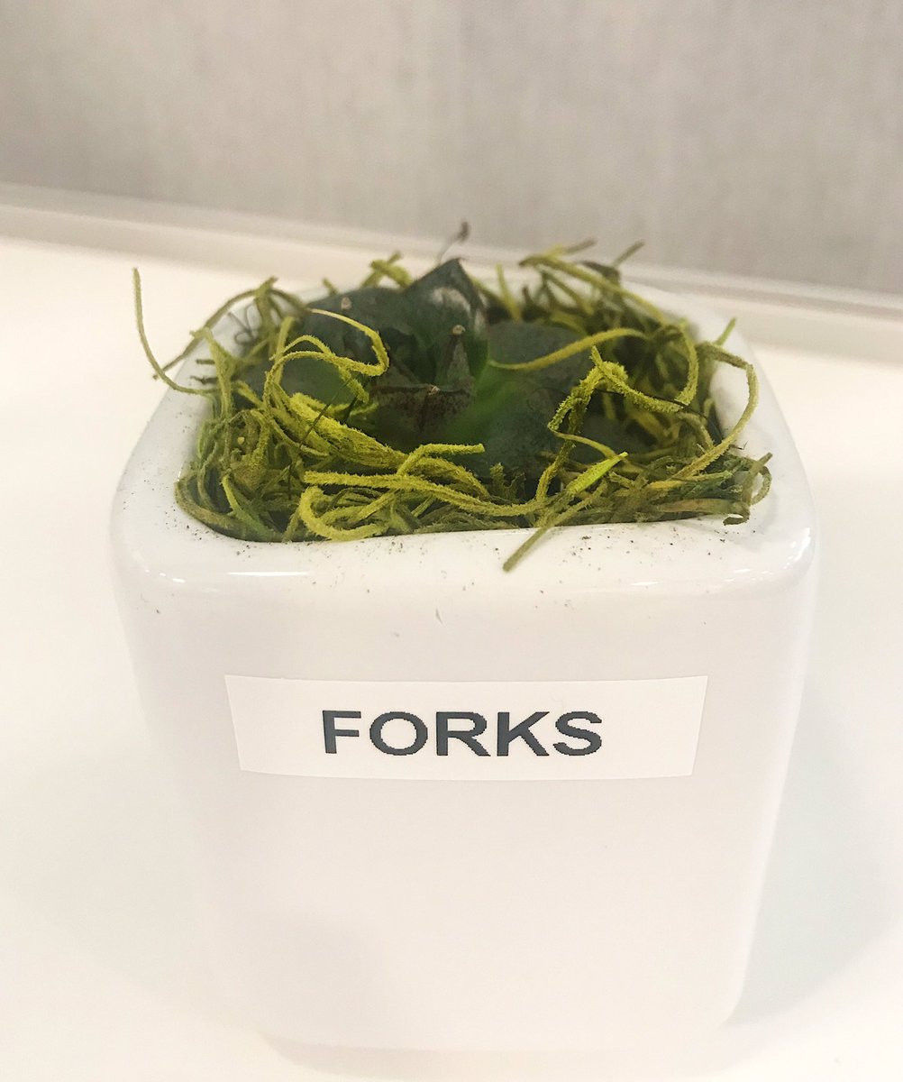 Office succ #Forks2020