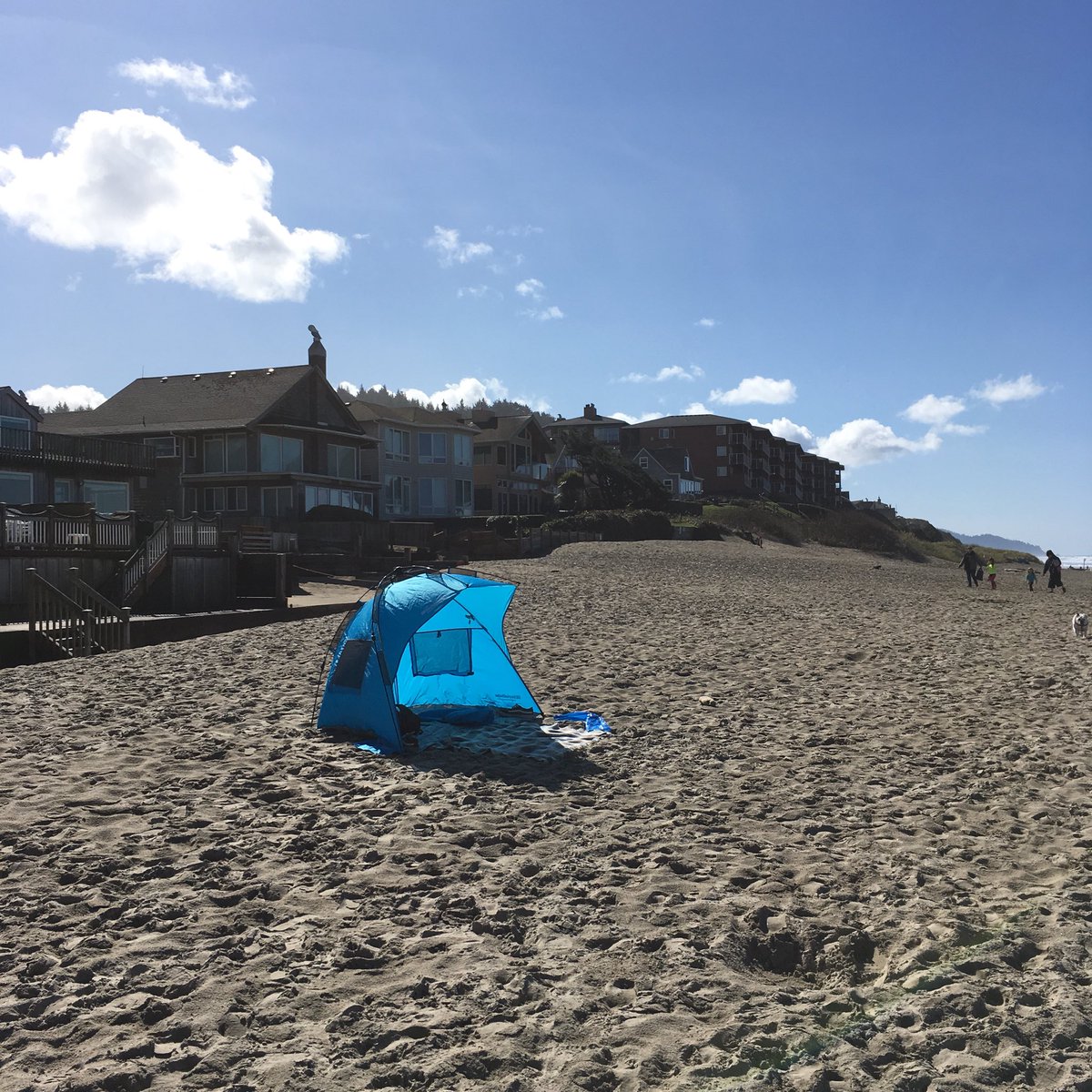 rasputinguts's tweet image. “Camp Memories”  bit.ly/2uyxsn8