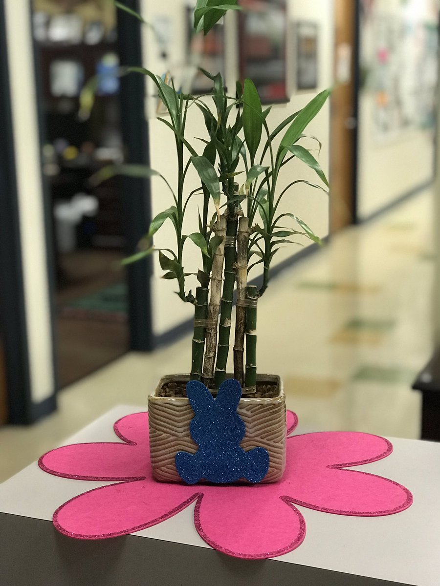 Ekim0691's tweet photo. The spring decorations @CannellaElem https://t.co/tYZgGjtS3J