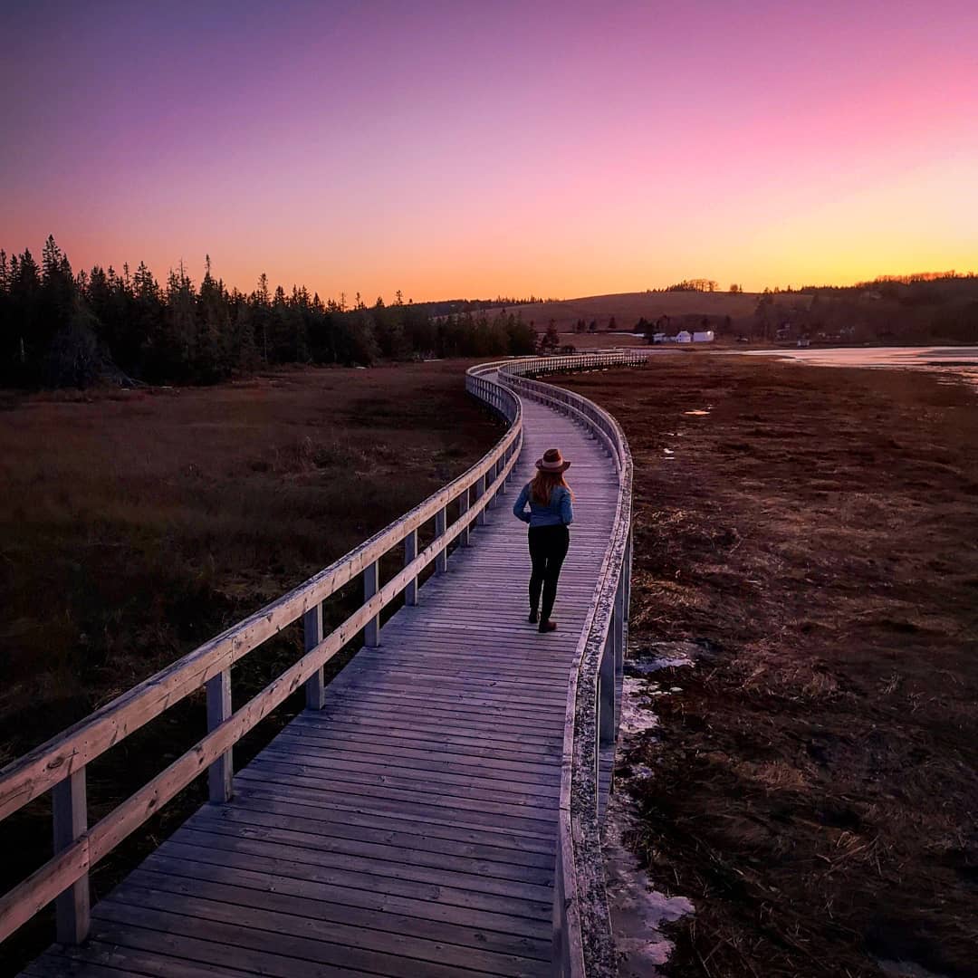 The path to zen....|| Featured Photo by @jhbest  #visitnovascotia #explorecanada #rissersbeach #novascotiabeaches
