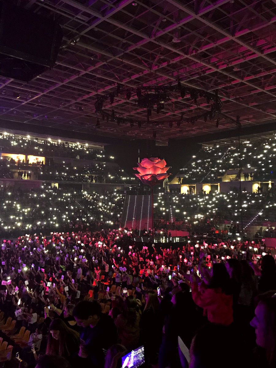 starletshawn's tweet photo. there are no words to describe such a great emotion, living with him his happiness during that concert cheered my heart. he’s a golden boy with a huge heart and i respect him very much. he’s the simplest, sweetest and kindest boy in the world.
march 24th, 2019 - Turin 🇮🇹✨ https://t.co/Wh03s7VUuE