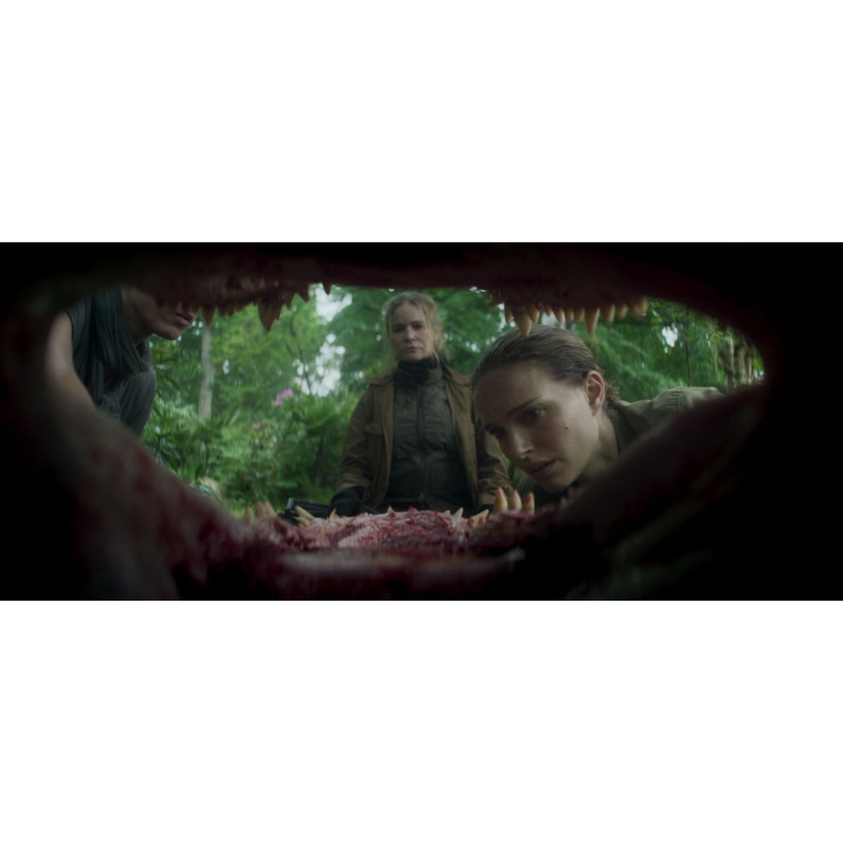 Jeff Zwicker tweet media