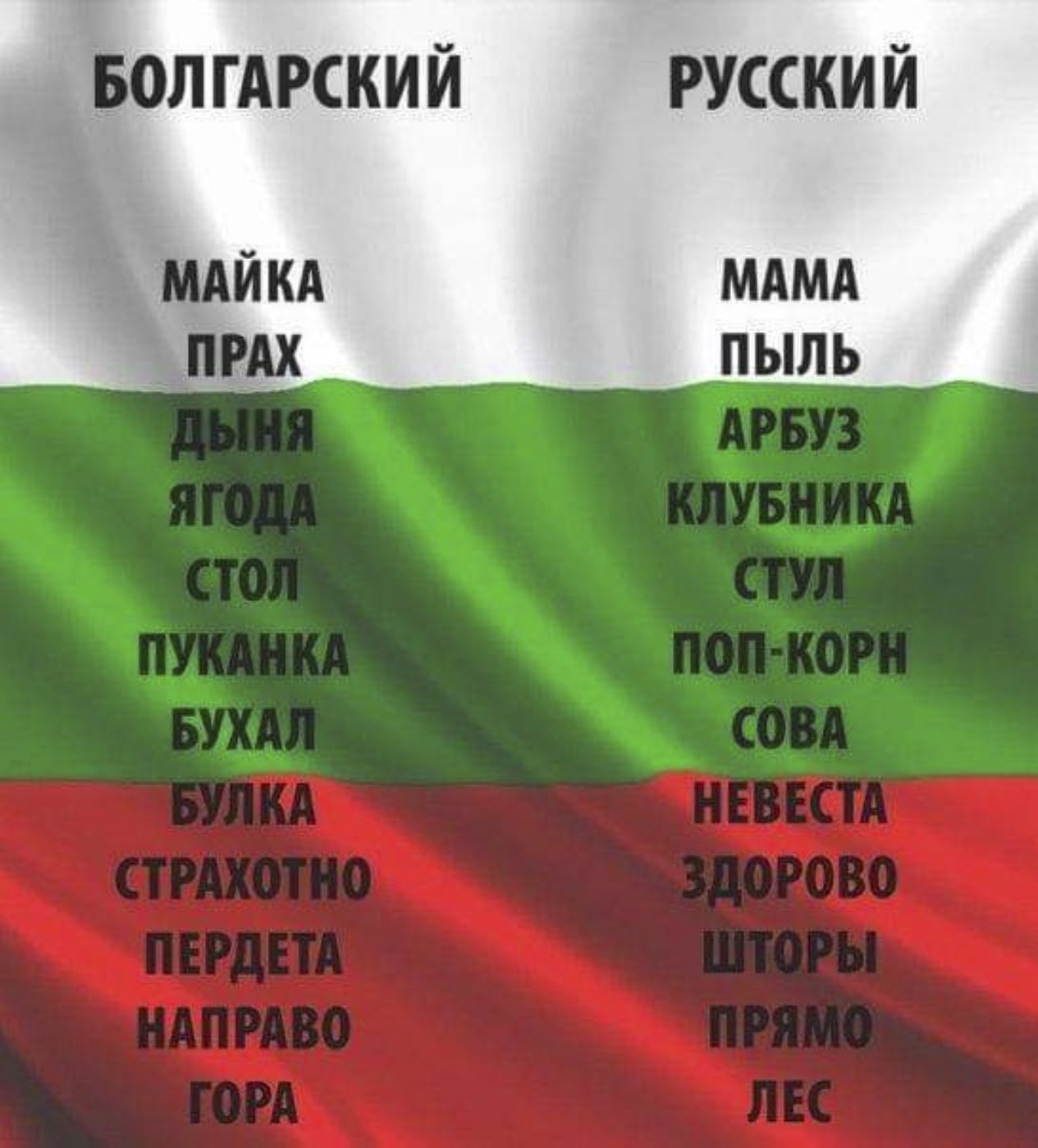 Болгарский язык