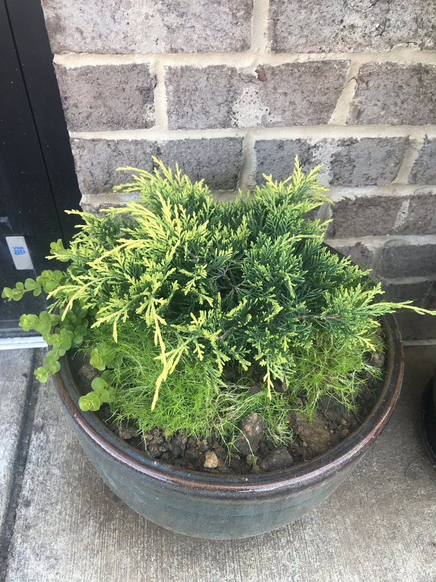 Yoshisushicove's tweet image. Come and try our new cocktail 🍸 “Hello， Spring！” #yoshisushifusion #huntsvillealabama #springcocktail