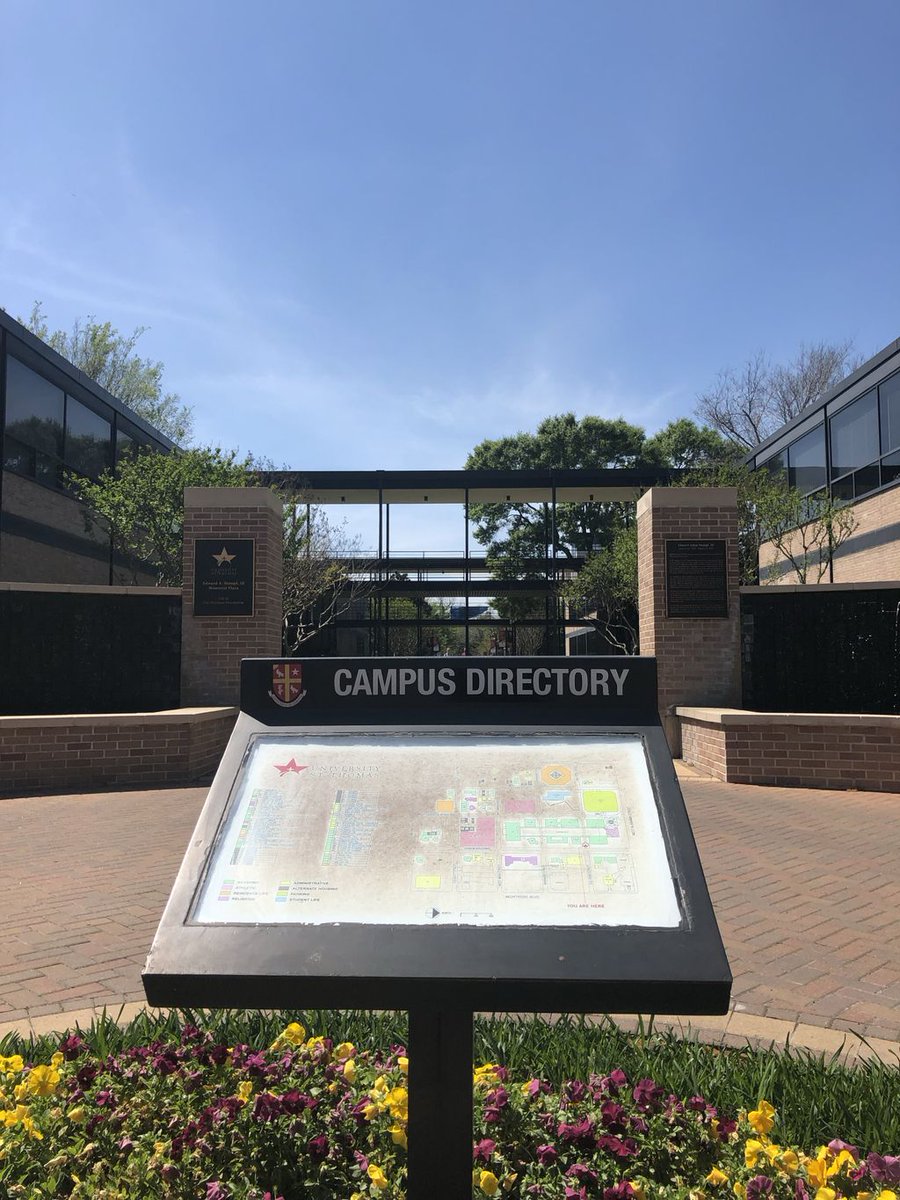 stthomashouston's tweet photo. #USTWednesday: Your future starts here! Go to https://t.co/aDeKISbFZU to find out more information and request a tour! #BeYourBoldSelf 🦁🦁🦁
.
.
.
#usthouston #uststrong #ustbold #ustpride #celtstrong #celtnation #celtpride #houston #montrose #montrosehouston #catholicuniversity https://t.co/Uwk38aMZmJ