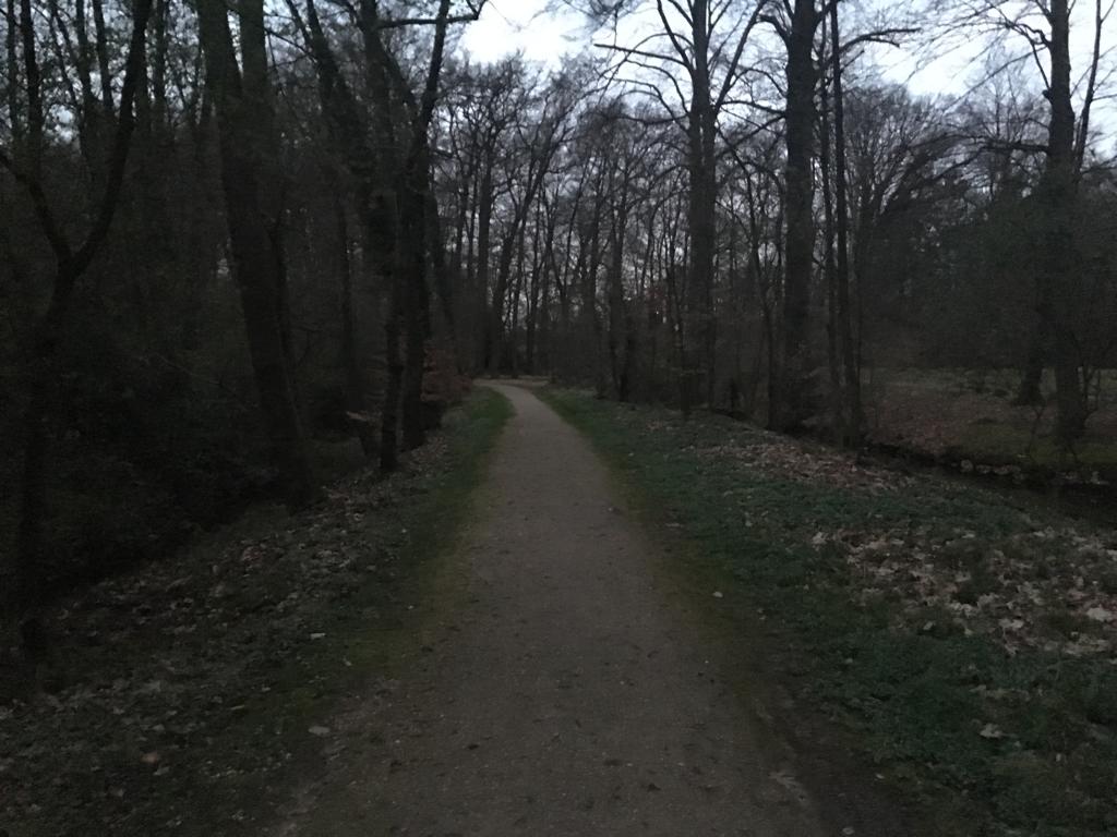 Voor verschillende opdrachtgevers zijn wij in de avonduren druk bezig met het uitvoeren van uileninventarisaties. Collega Jelle is vanavond op zoek naar bosuilen. #bosuil #kerkuil #ransuil #steenuil