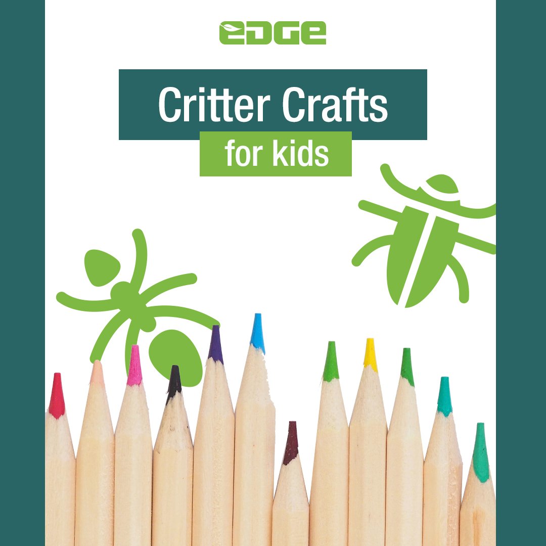 EdgeD2D's tweet image. Have rainy days coming up in your weather forecast? Need indoor activities for your kids? Teach your kids about the fascinating world of insects, while creating Critter Crafts. Find instructions here: hubs.ly/H0hbrbr0  Tag us in any of your Critter Craft Creations!  #Edge
