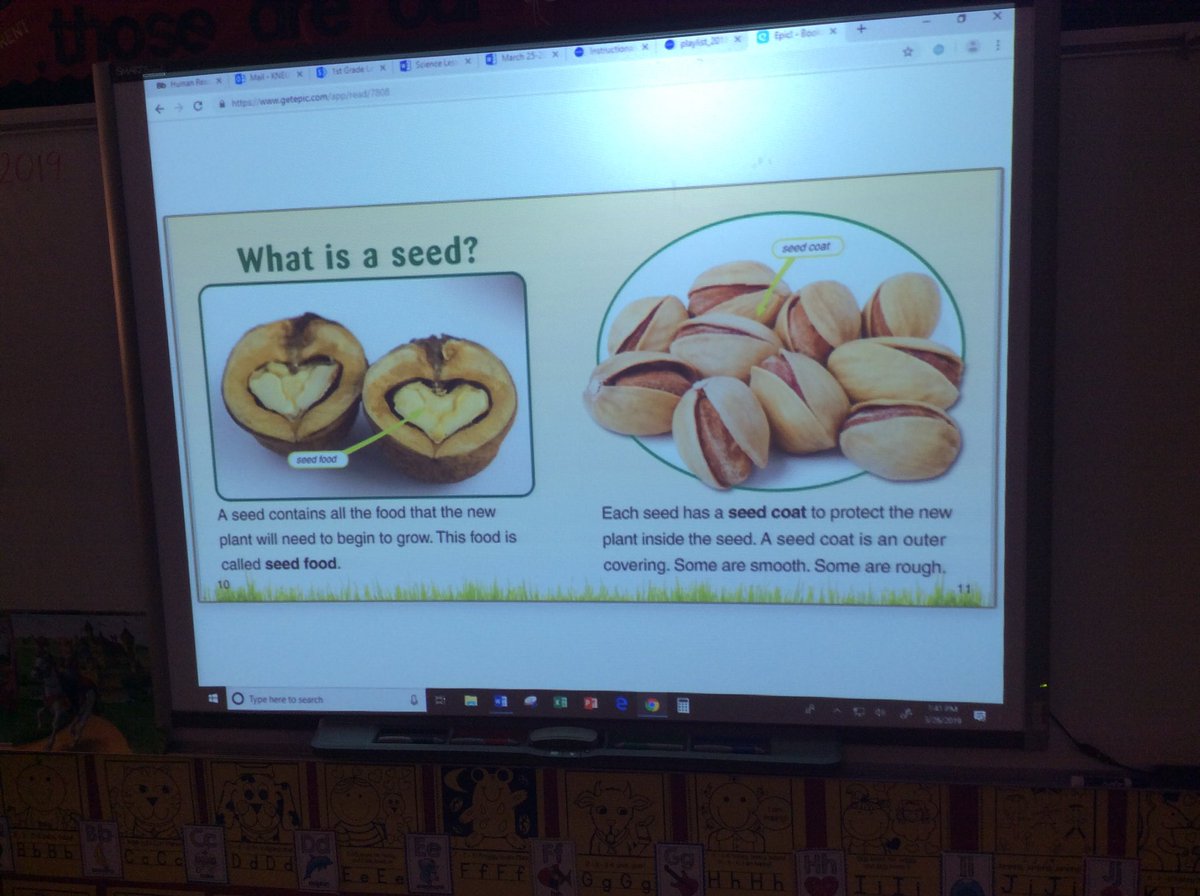 Bmcelroy777's tweet photo. Evidence of Learning: Using thought bubbles as we learn about seeds. #GoBeyondLampasas #GearingUpTCE @lead4ward https://t.co/jLO4xS3YQb