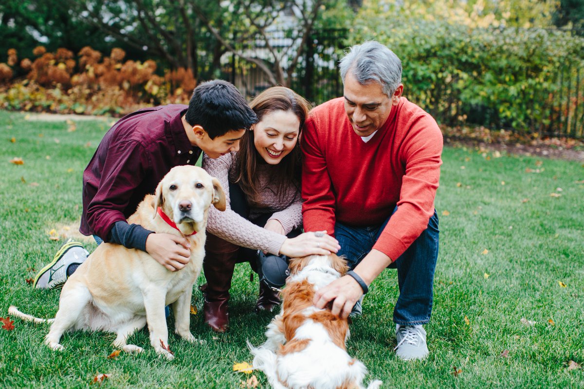 ALZIMPACT's tweet photo. More exciting news in Alzheimer’s policy: Today, the #YoungerAlzAct was introduced, which would make those under 60 living with the disease eligible to access services like nutritional programs, respite services &amp; more to enhance quality of life: https://t.co/GLkzh4U7PP #ENDALZ https://t.co/7VOrOlhsbT