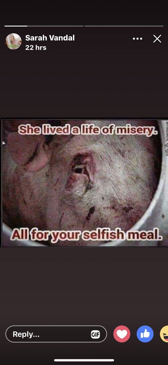 SupportPets's tweet image. There is ONLY ONE WAY to close #Slaughterhouses down:
#BecomeVegan
Live healthier and longer as a True #Vegan
Each #Vegan will be saving the life of 7.000 (SEVEN THOUSAND) Innocent #Animals during his/her lifetime! 
THINK!
You cannot go wrong with this change in #Diet!