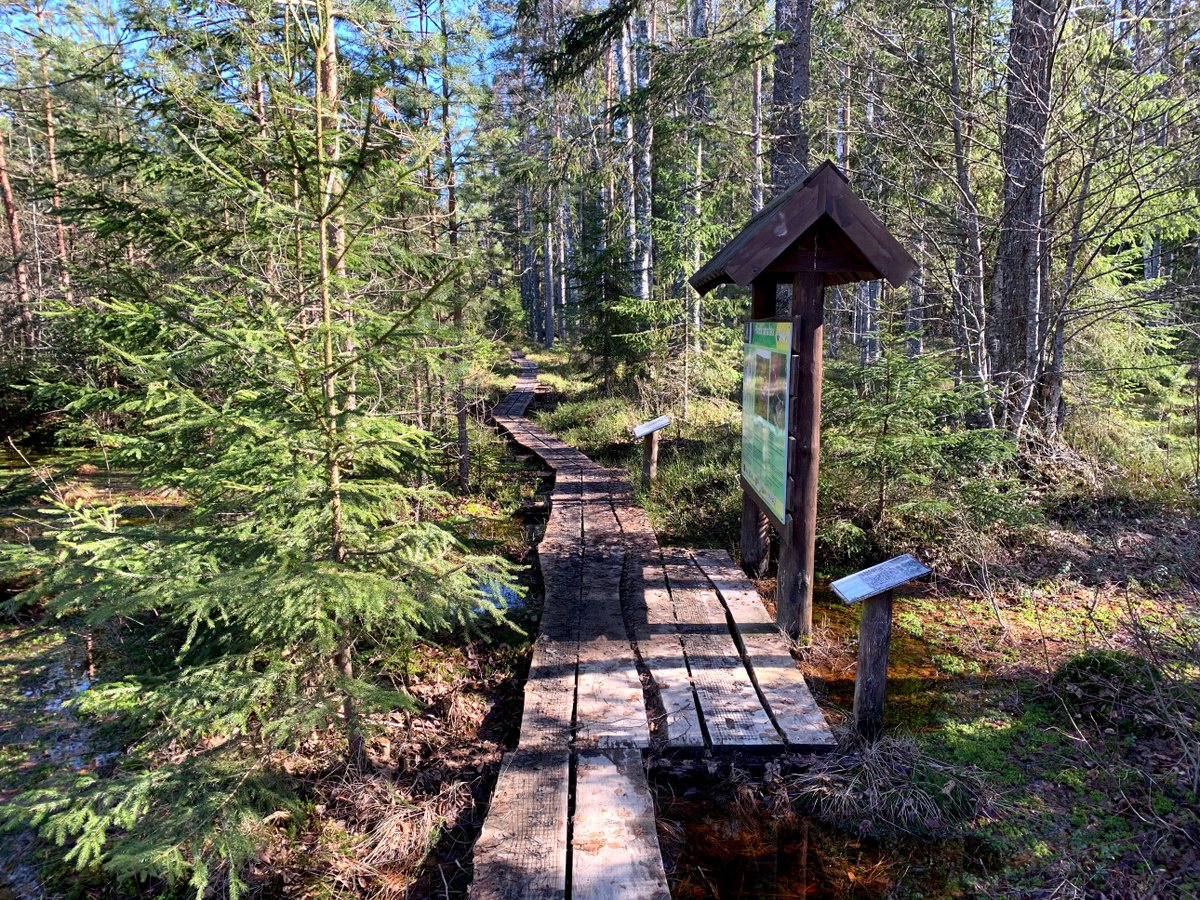 Gints_photo's tweet photo. Planču purva taka #plančupurvataka #aloja #staicele #march #photo #nature #photography #latvia #lv #latvijasskati #thisislatvia #landscape #latvianature #baltic #visitlatvia #ilovelatvia #visitbaltic #latviannature #alojasnovads #purvs https://t.co/TAhswZuYLn