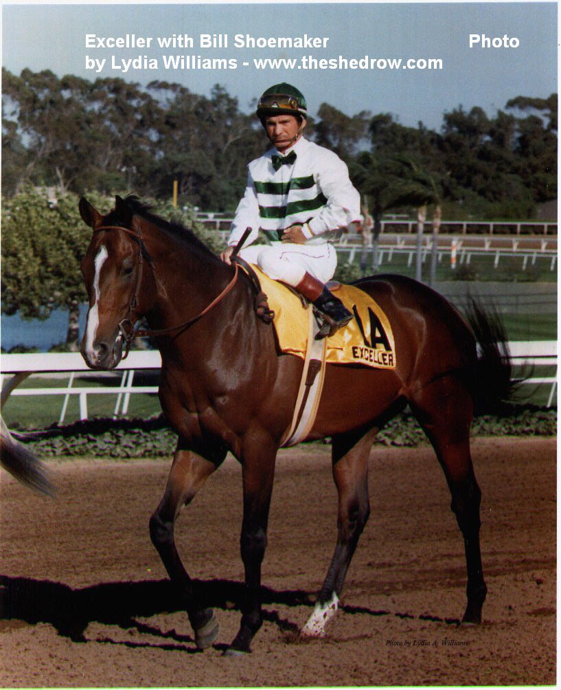 RIP to 3 Legends of Racing: Exceller, Bill Shoemaker, Hollywood Park.  All 3 were lost for tragic reasons.