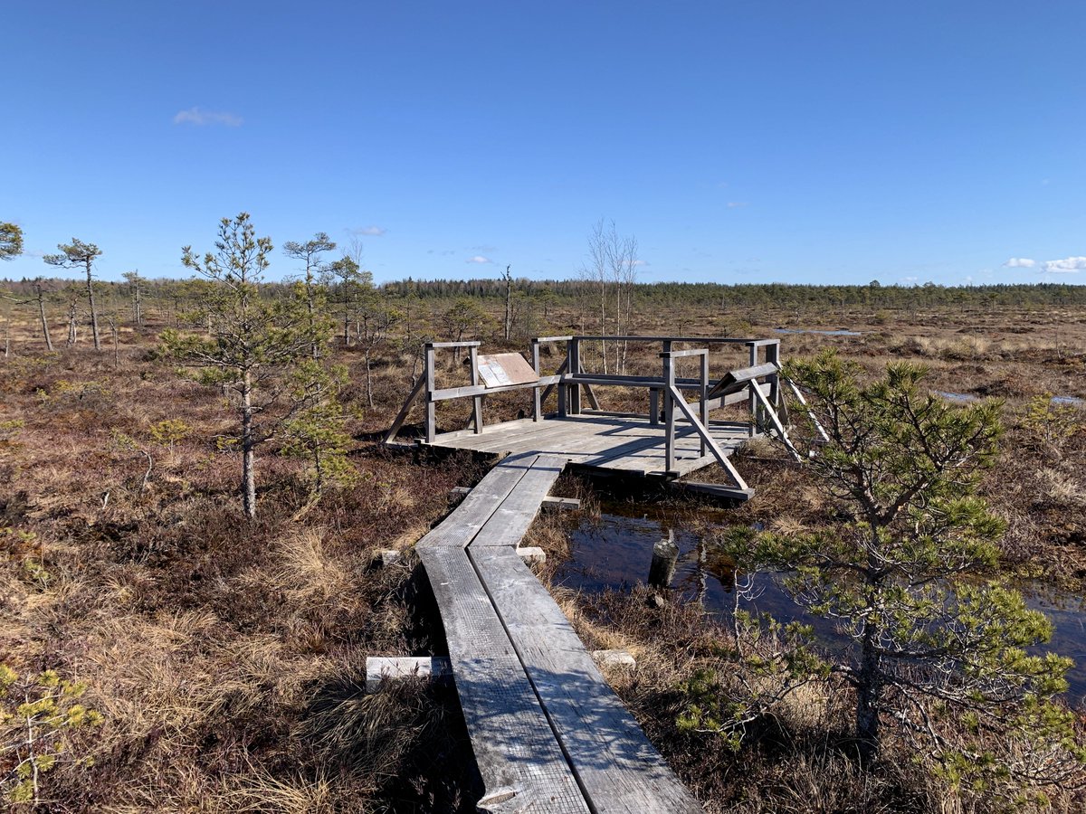 Gints_photo's tweet photo. Planču purva taka #plančupurvataka #aloja #staicele #march #photo #nature #photography #latvia #lv #latvijasskati #thisislatvia #landscape #latvianature #baltic #visitlatvia #ilovelatvia #visitbaltic #latviannature #alojasnovads #purvs https://t.co/uQdWY46nBc