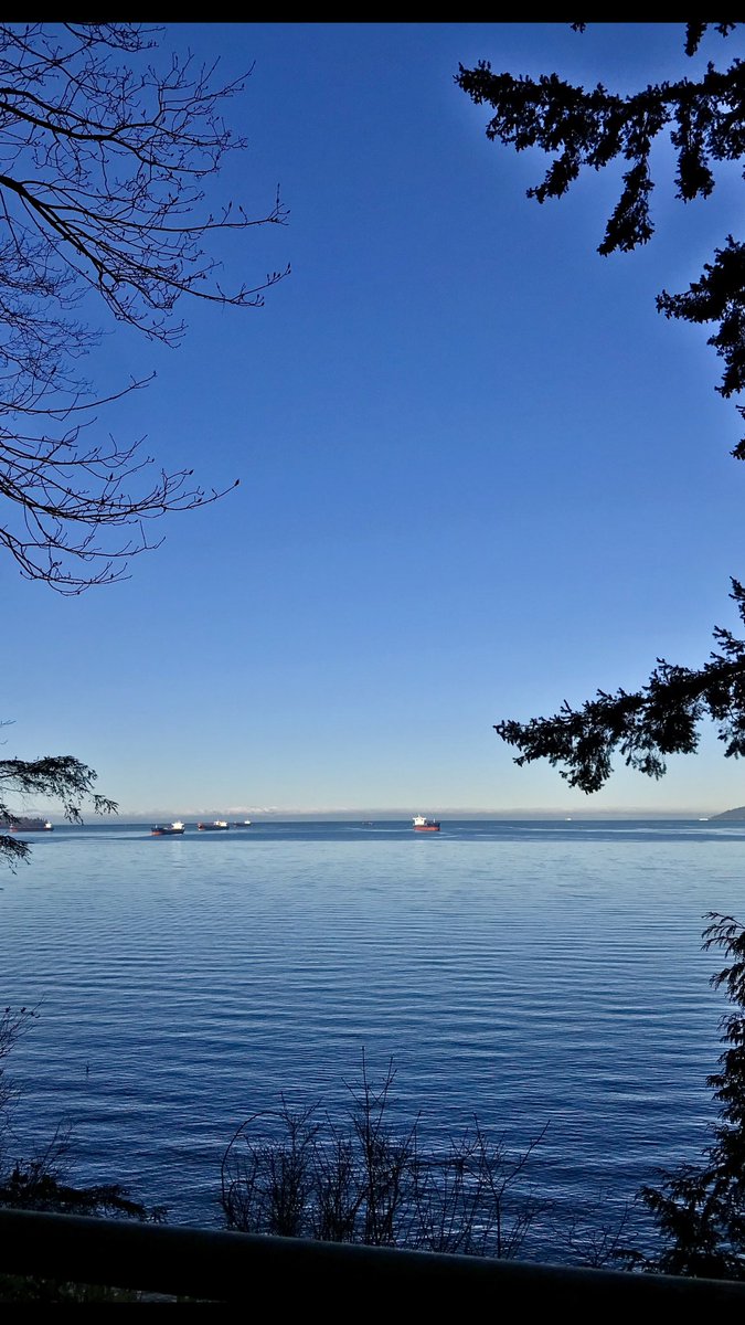 amyjlevasseur's tweet photo. What a morning it is in Vancouver! Stanley Park is looking great this spring #stanleypark #yvr #siwash #englishbay #westend #vancouver #canada https://t.co/LM0WdB5TLq