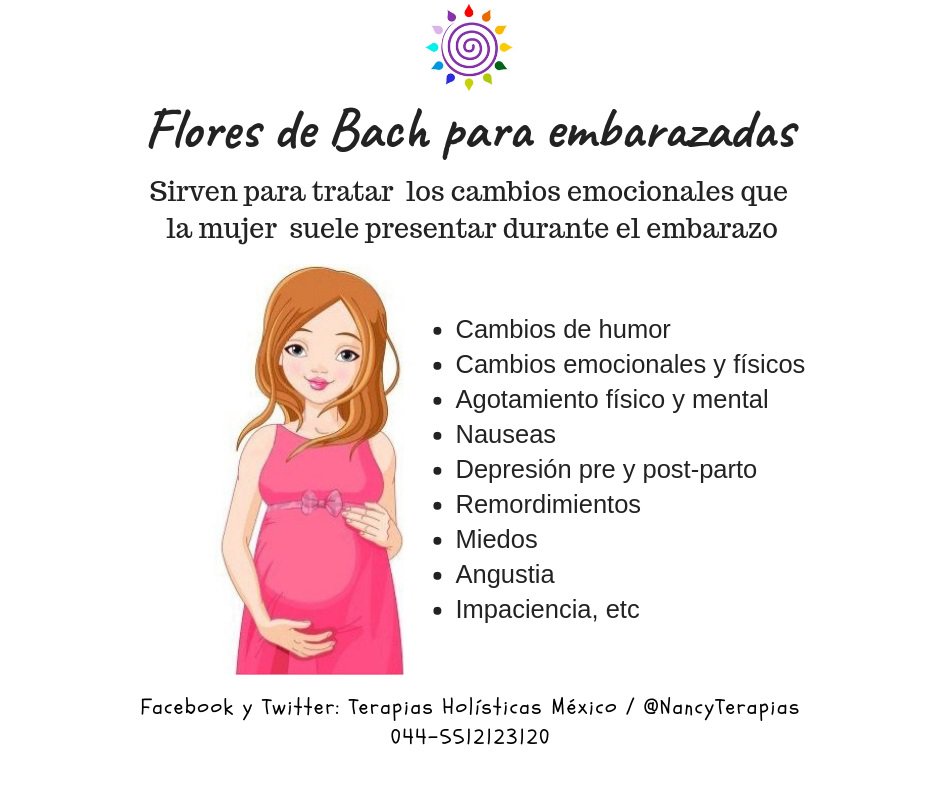SANARTEByNancy's tweet photo. Las  #FloresdeBach nos ayudan en ese proceso tan hermoso pero lleno de cambios físicos, emocionales y hormonales, de origen natural y sin efectos secundarios. https://t.co/cIdhNWQcm3