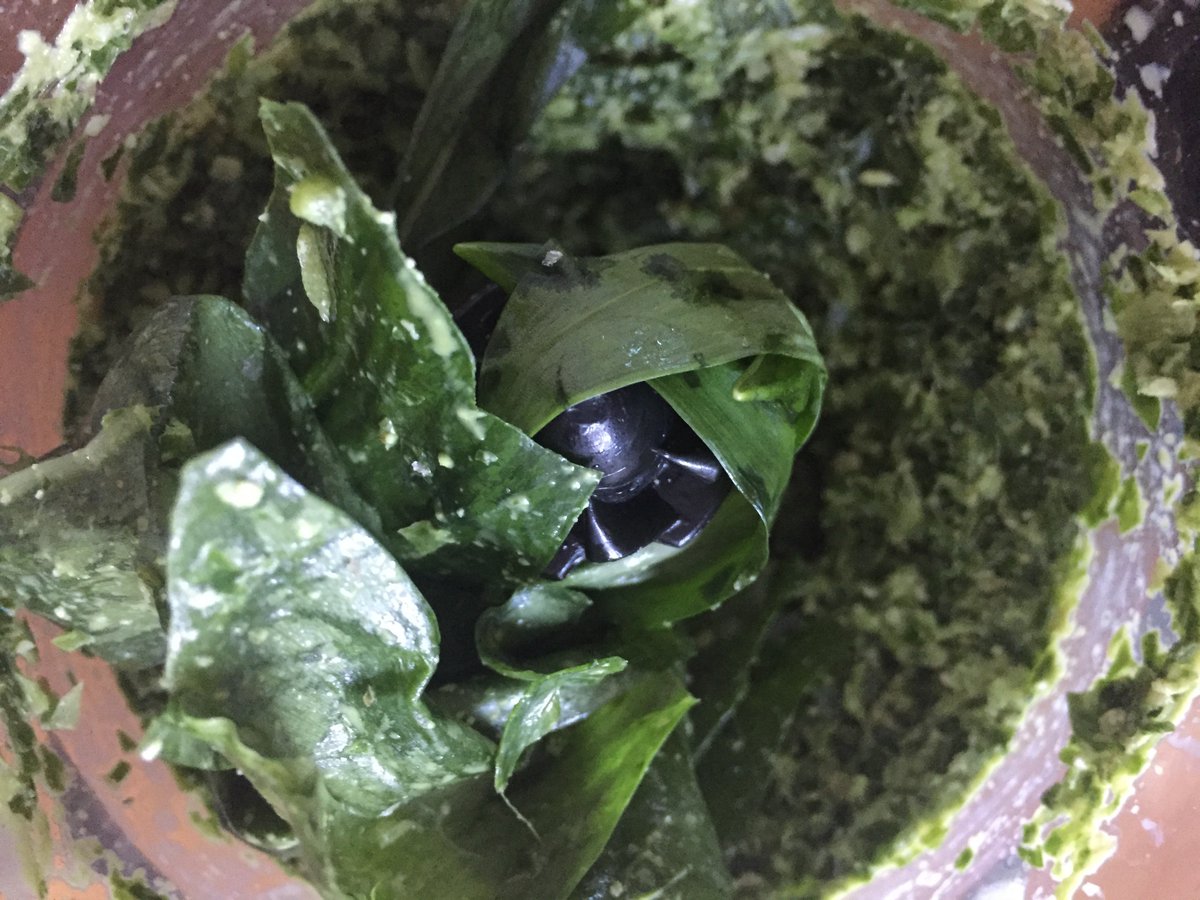 FifiDeLyonBliss's tweet photo. #OHMYBLOG #wildgarlicpesto is live! https://t.co/VCt6DlRYjh @LauristonFarm @FifiDeLyonBliss @Natoora @Ocado @wivenhoemarket @visitmaldon @maldonsalt @CarrefourGroup @PomoraGoodFood @BiodynamicUK #fifidelyonloves #food #essex #uk #organic #demeter #biodynamic #foraging #fifidelyon https://t.co/YQPDWkst0v