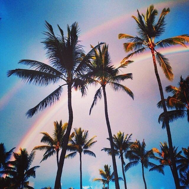 GypsetRose's tweet photo. Rainbow is our favorite color 🌈✨🌴
.
.
.
#gypsetrose #gypsetstyle #gypset #gypsetter #styleinfluencer #styleinspo #inspo #onlineboutique #fashioninspo #lifestyle #fashion #dowhatyoulove #positivemindset #boutique #boutiqueshopping #boutiquefashion #bo… https://t.co/HggJbdMNqJ https://t.co/StANsufqCA