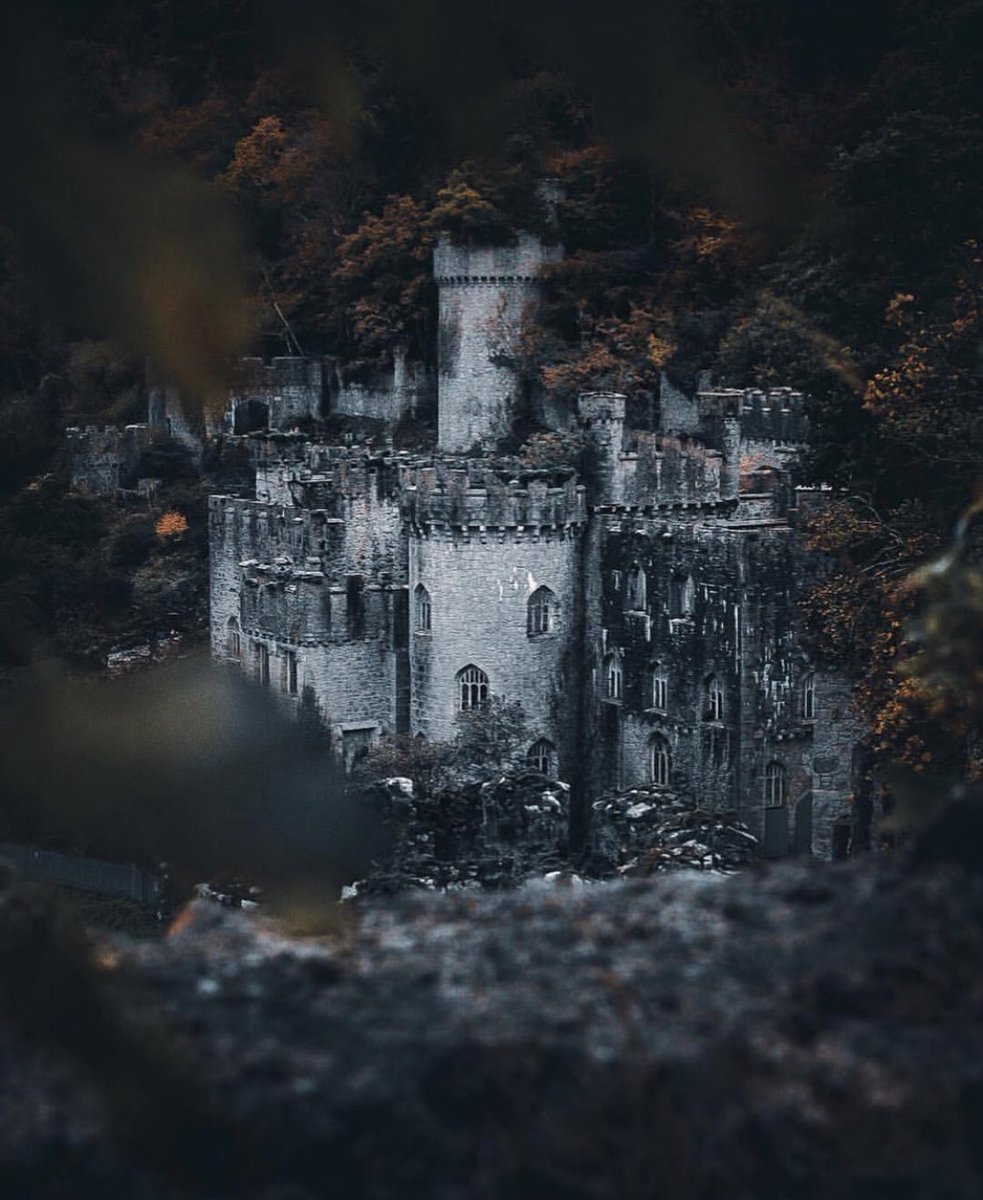 TenonTours's tweet photo. Did you know that Wales is the Castle Capital of the World? 🏴🏰
Here are a few castles that are well worth visiting while on vacation in Wales
#FindYourEpic #CastlesOfWales #Wales #VisitWales #CastleCapital #TTFeaturedDestination #TenonTours #TravelWithTenon #YourTripYourWay https://t.co/r9hMPa6O7D