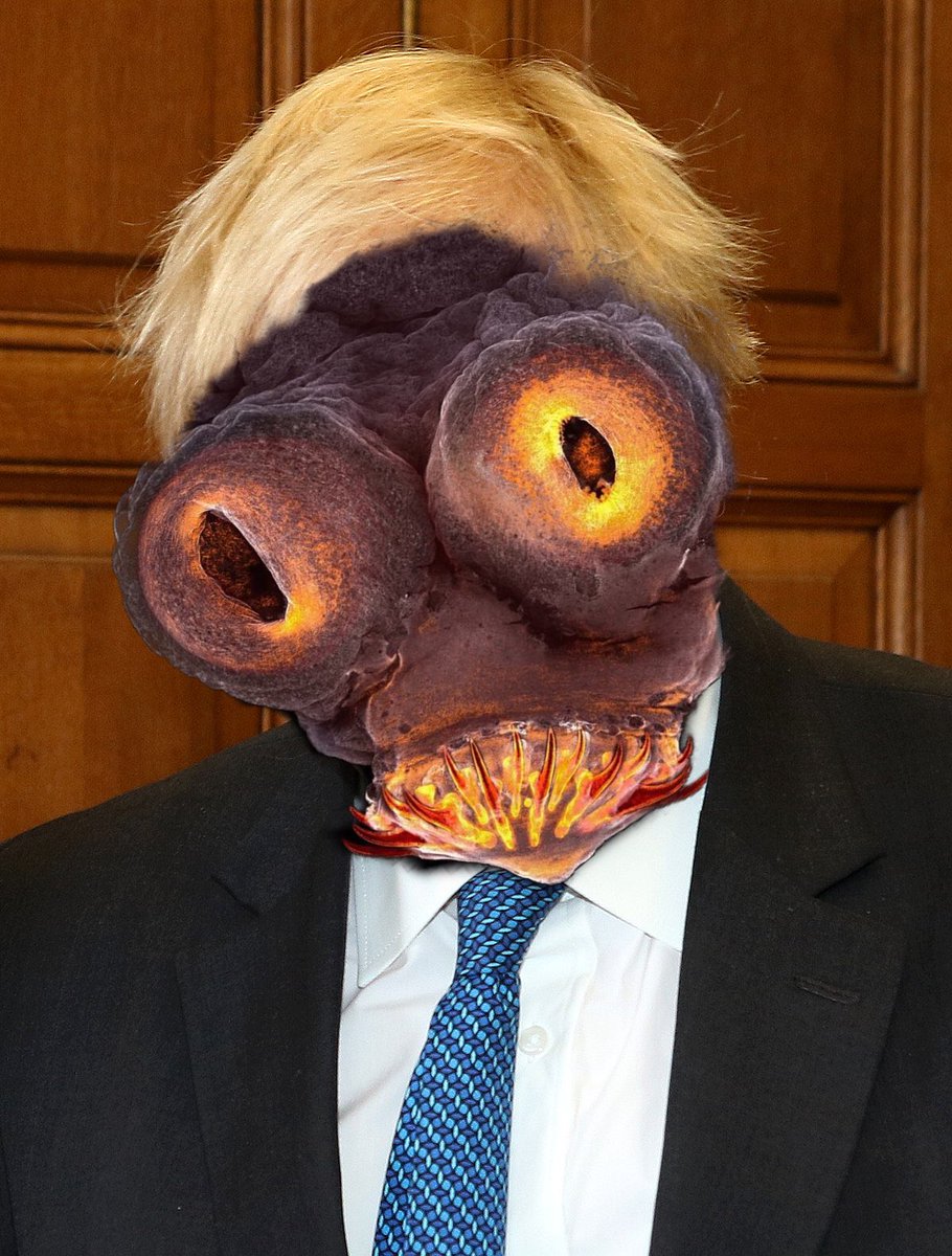 williamrox's tweet image. #BorisJohnson #tapeworm