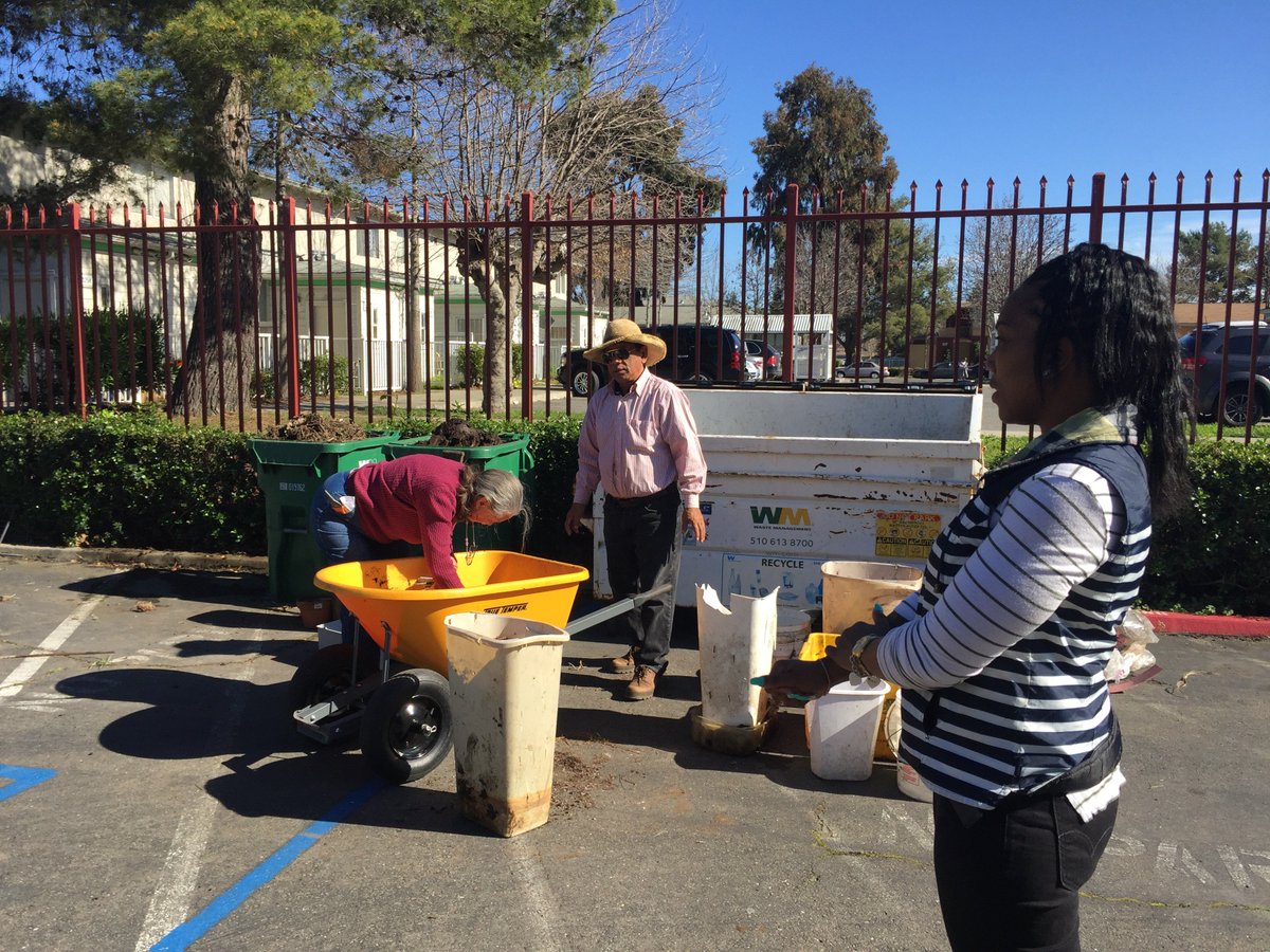 AlamedaUc's tweet photo. UC CalFresh builds #partnerships! @CitySlickerFrms rejuvenates the #community garden at Palo Vista Gardens Community in East Oakland. Residents receive #free vegetable, herbs and flower #seedlings to #plant in their Spring #gardens.
March 20, 2019 https://t.co/zjQI27pUFj