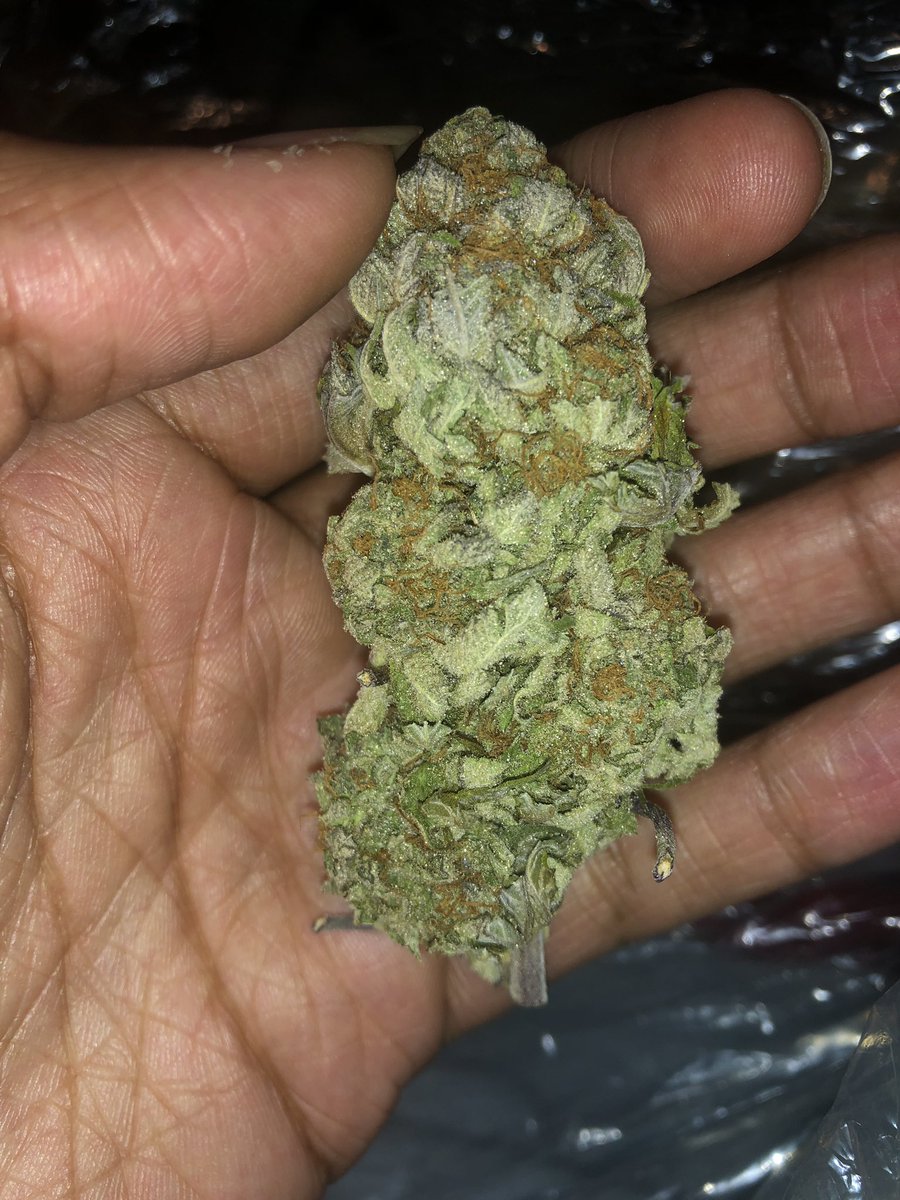 FatalXela's tweet photo. What you smoking on 🤔🤨 I smoking on that @FatalFarmz https://t.co/y0qjDhxBr9