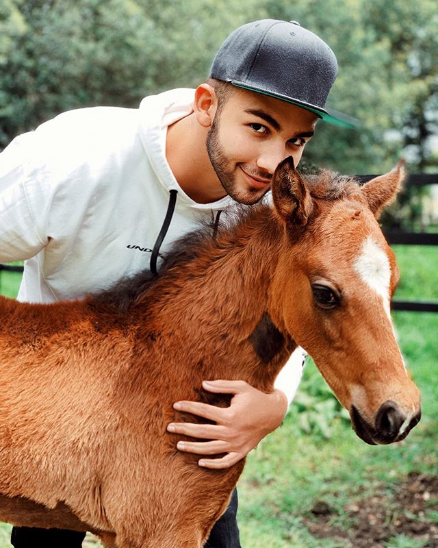 ManuelTurizoMTZ's tweet photo. Ayer fue día de caballo🐴🐺 https://t.co/uGLxZYBsdi