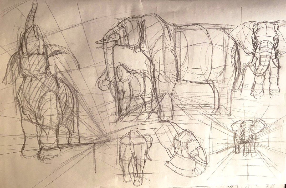 went to the natural history museum! ??? 