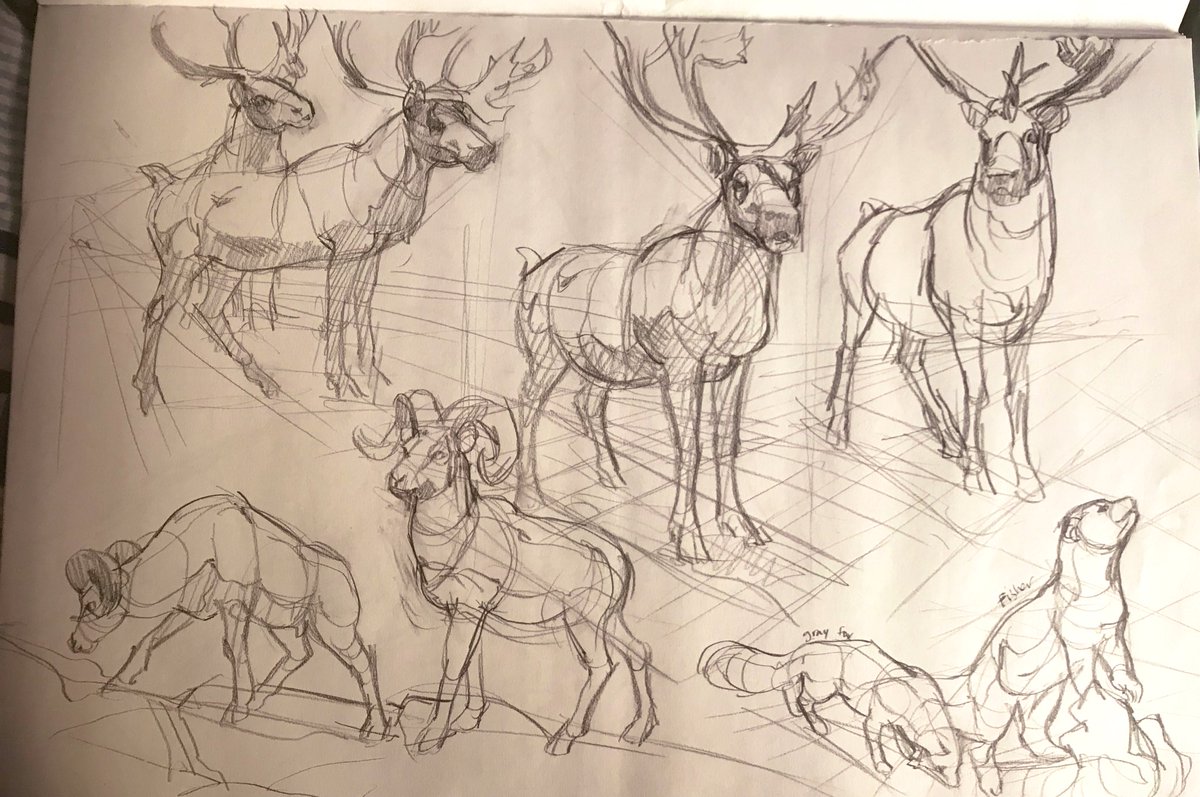 went to the natural history museum! ??? 