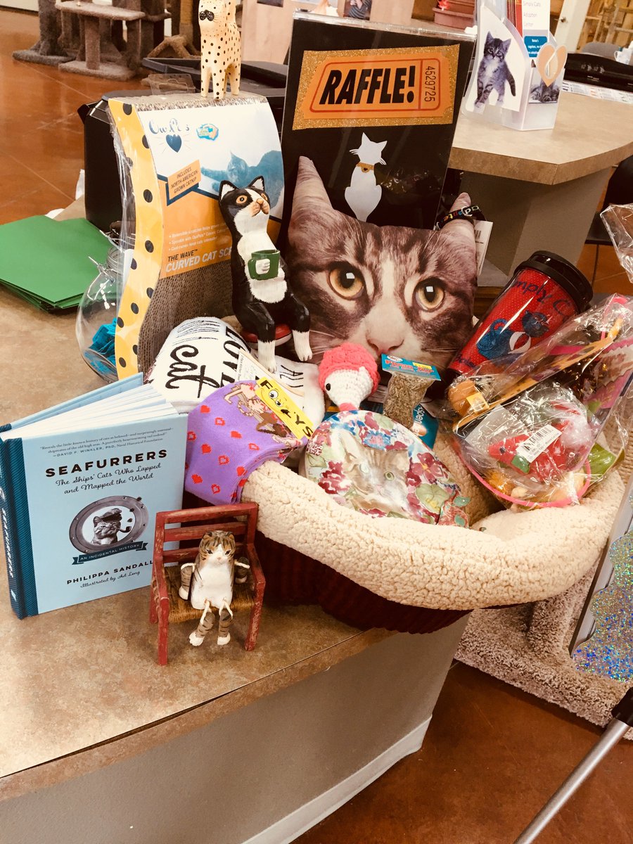 Simply Cats tweet media