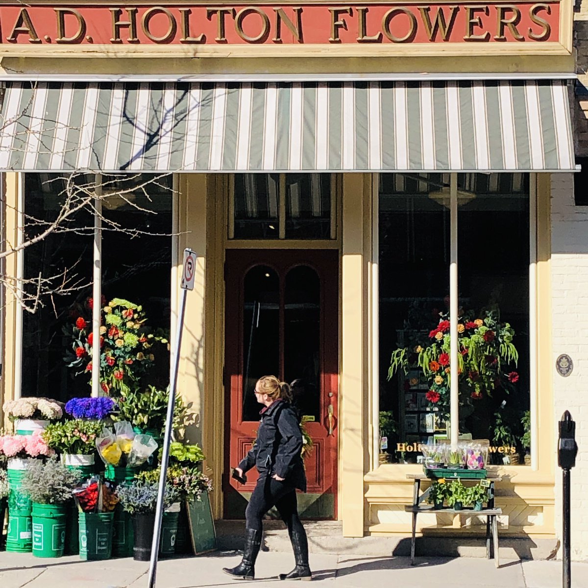 GFaceyClothing's tweet photo. #youknowitsspringwhen #holtonsflowers have their #flowers out! Or Blake is already wearing shorts before everyone else 😉. #visitporthope soon! #downtownporthope 
#floatyourfannydowntheganny 
https://t.co/WgWwvO3V5X https://t.co/0YSwvY7tI2