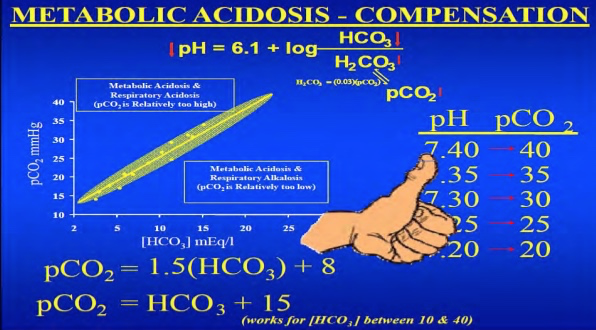 Zainab Obaidi tweet media