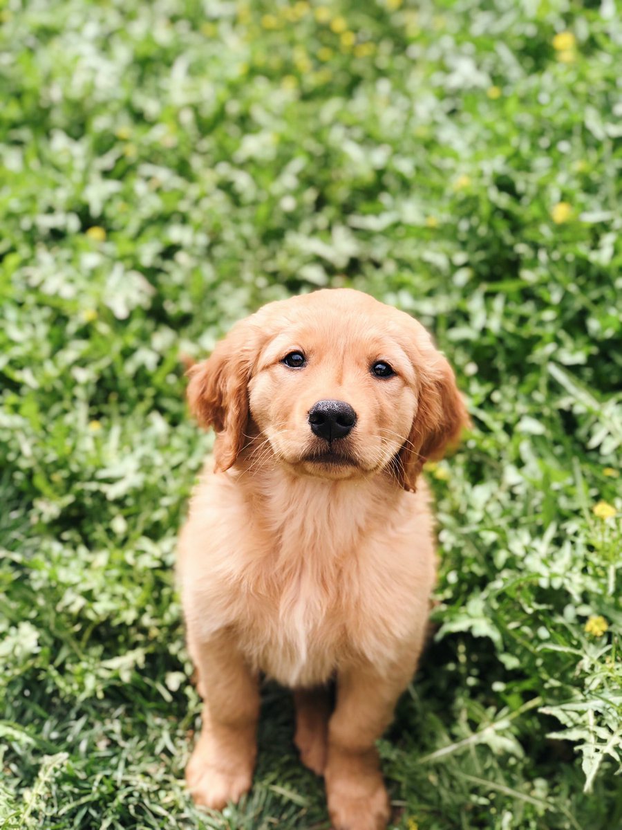 baycheyann's tweet photo. rt if billie girl is prettier than u https://t.co/HAkFgFg9Pe