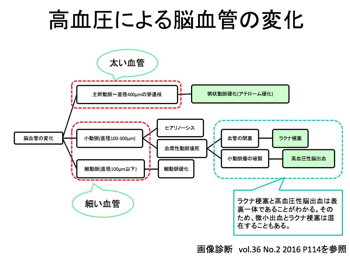 高血圧 関連 図
