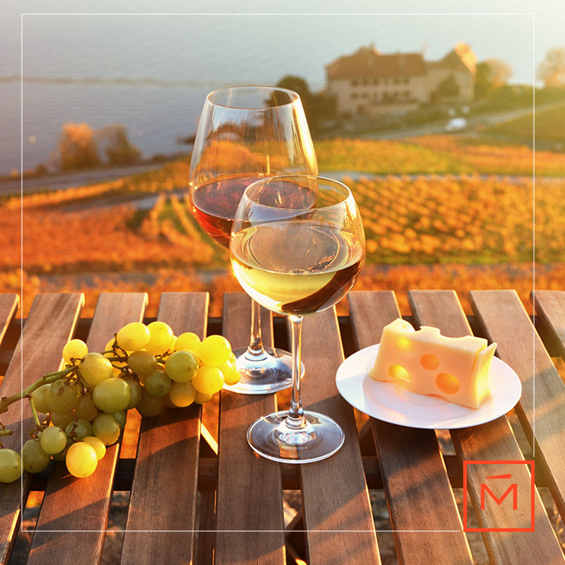 Dale la bienvenida al otoño acompañado de un vino Morandé. Cuéntanos, ¿cuál es tu cepa favorita en estas fechas? #EspirituPionero