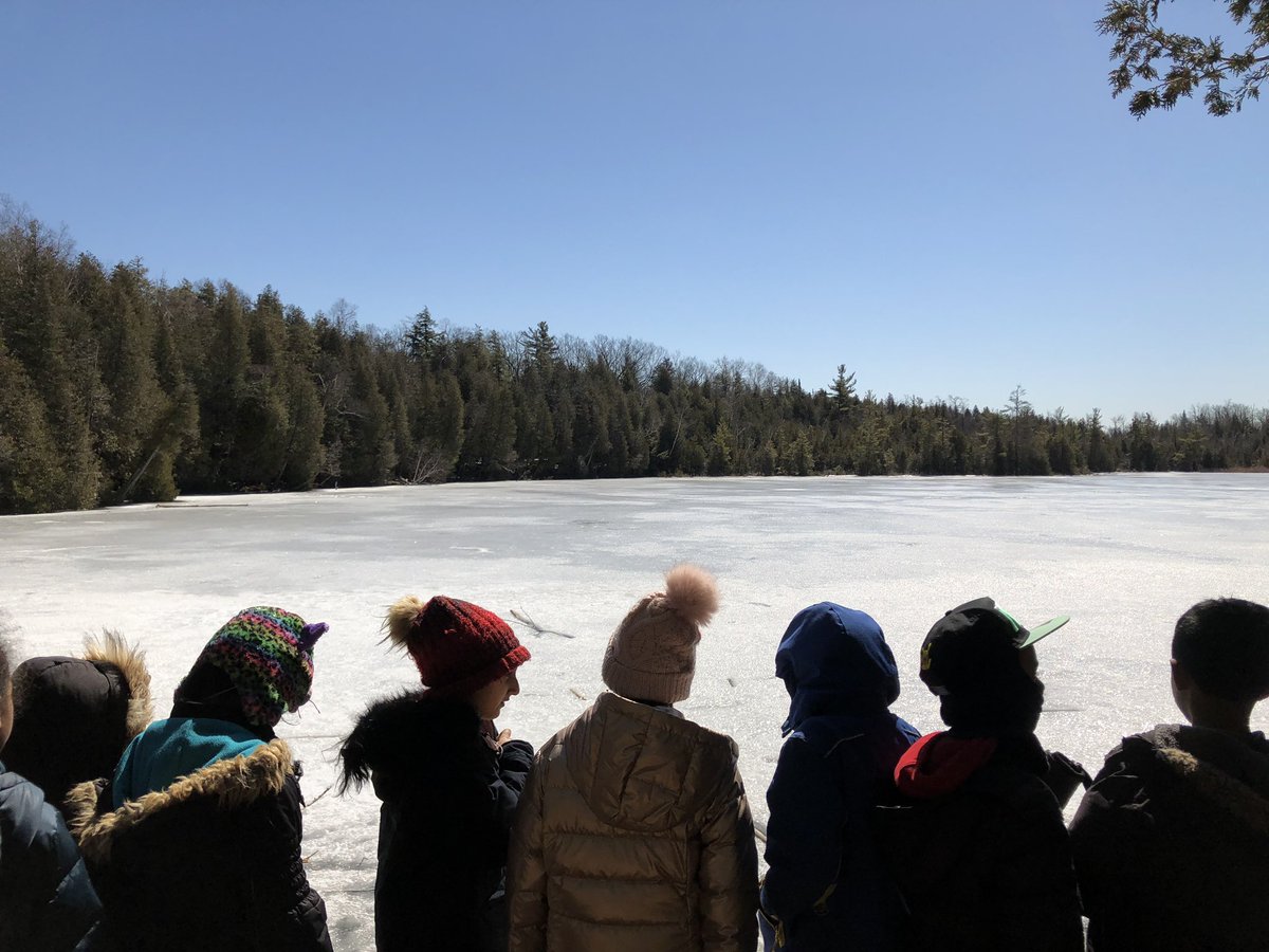 Nirvana Bissoon tweet media