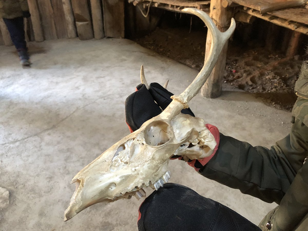 Nirvana Bissoon tweet media