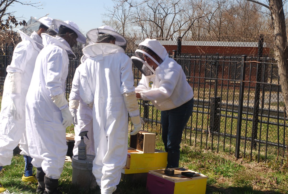 Today, my students became bee-keepers! #SEDC #CongressHeights #SchoolBees
