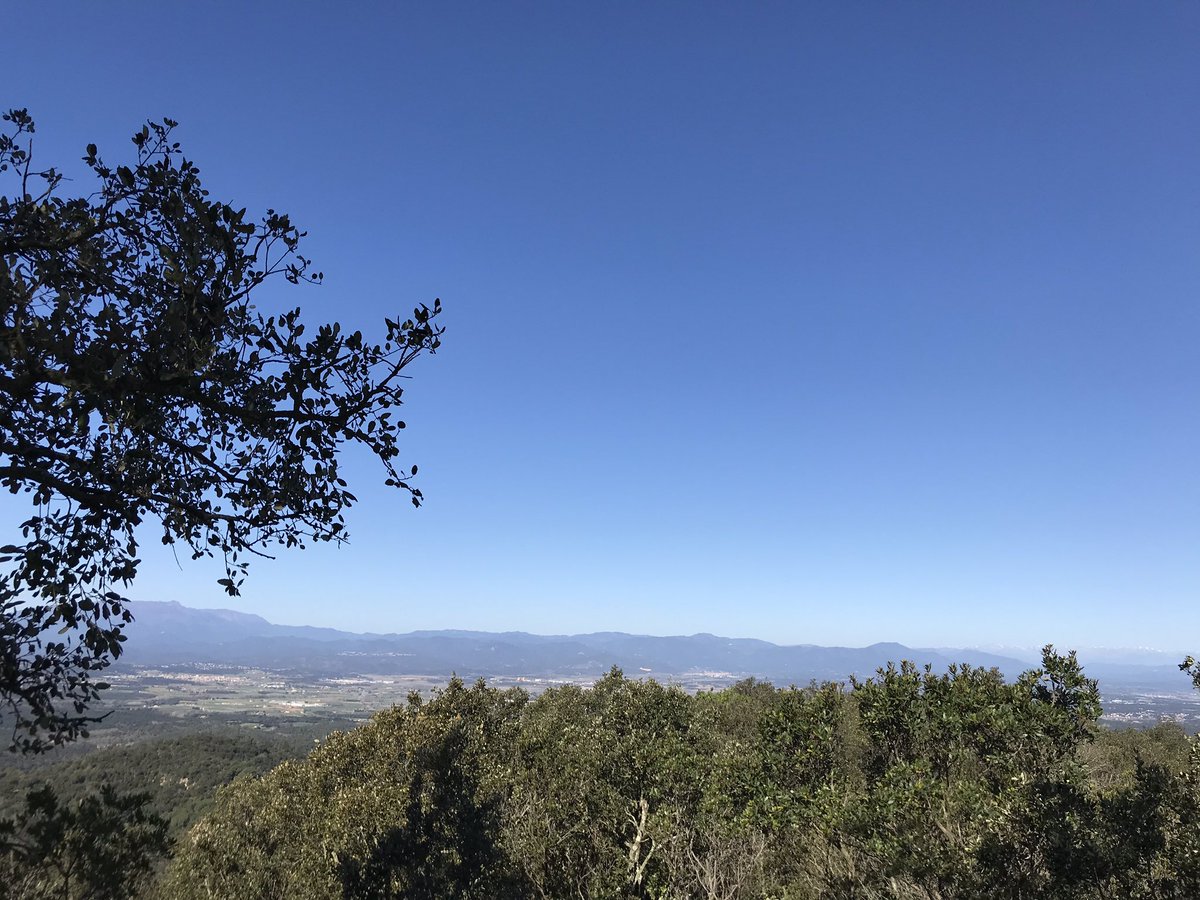 jordi_camps's tweet photo. Vistes del mirador que estem construïnt al cim més alt de #vidreres #puigventós #421m #mirador #girona #costabrava @VisitCostaBrava @CostaBravaGi @TurismeSelva https://t.co/T32FxYwzzm