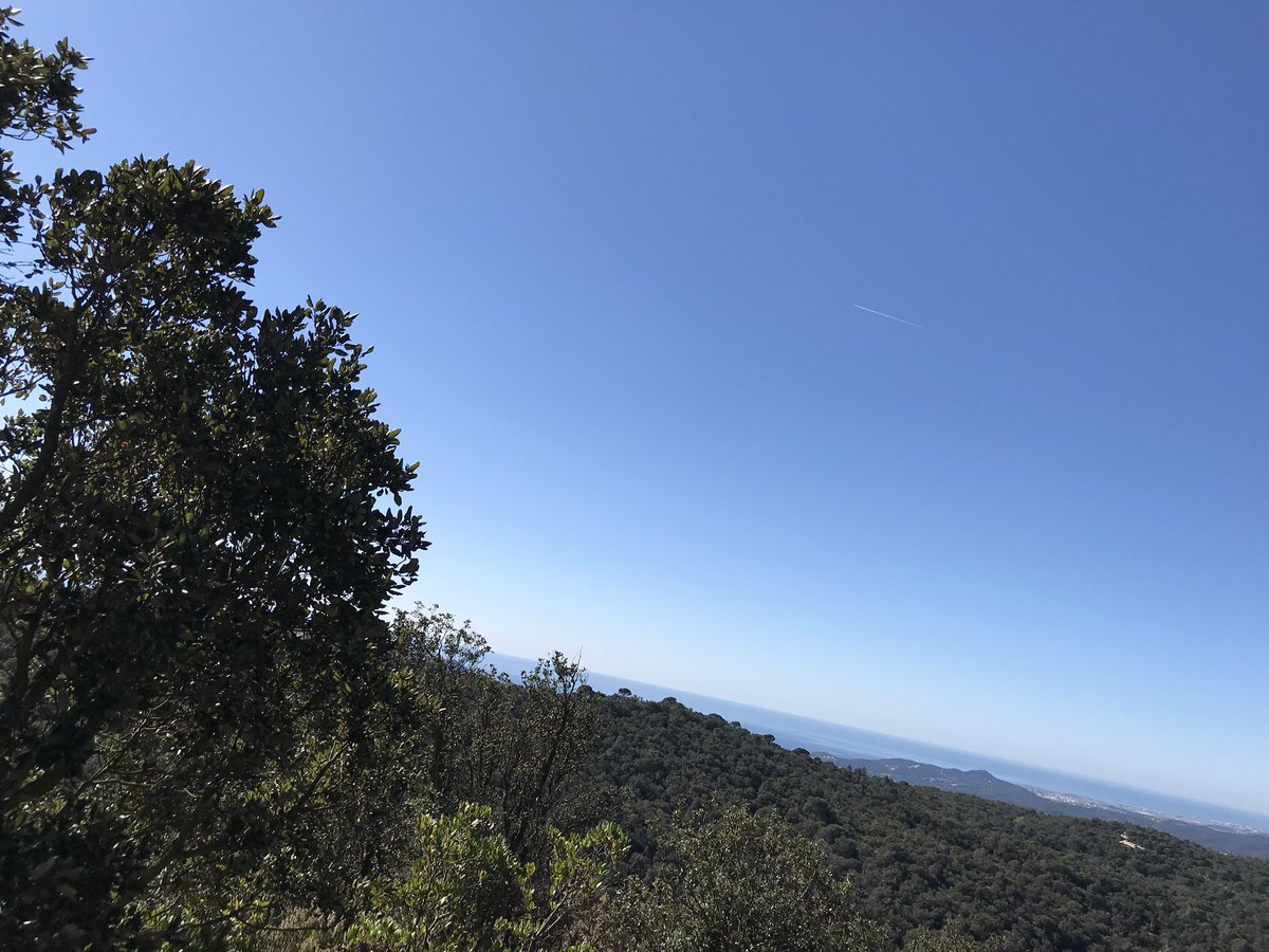jordi_camps's tweet photo. Vistes del mirador que estem construïnt al cim més alt de #vidreres #puigventós #421m #mirador #girona #costabrava @VisitCostaBrava @CostaBravaGi @TurismeSelva https://t.co/T32FxYwzzm