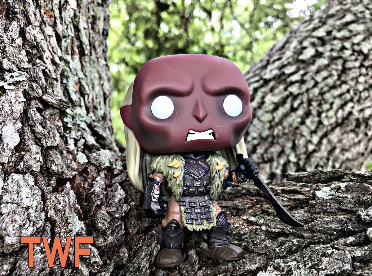 ToyingWFilbert's tweet photo. Searching for hobbits @OriginalFunko #LordOfTheRings #funko https://t.co/XtaMX5CL8R