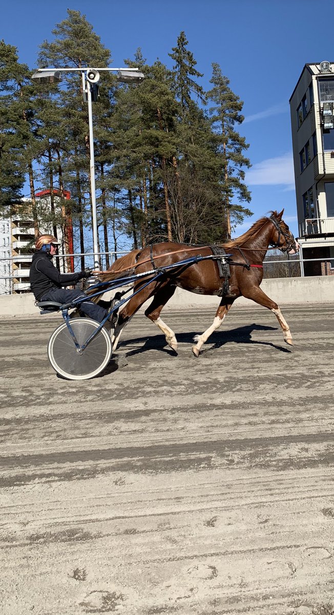 Første gang på banen i dag! Jeriko B.R Framtiden ser lys ut!! 🤩 For et fantastisk individ!! #llv75