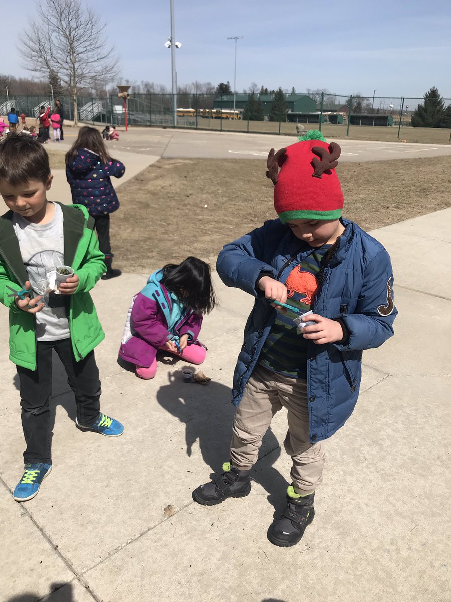 hartmus1stgrade's tweet image. Enjoying the great outdoors and “mowing” the lawns that we grew in science class! Kids wondered what will happen next: Will the alfalfa or the ryegrass grow back? Or will they die? 🌱 🤔 #NoviPride #FOSSScience