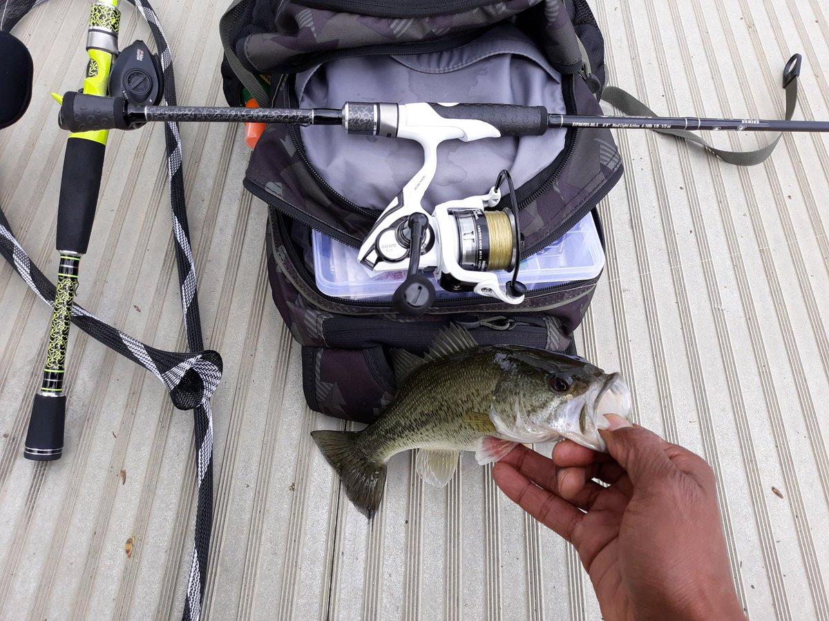 LMLunkin's tweet photo. Dinks beats skunking any day.
Check the video:
https://t.co/pJMLSomR5N

#noskunk #flairfish #howtofish https://t.co/17HksOLwCB