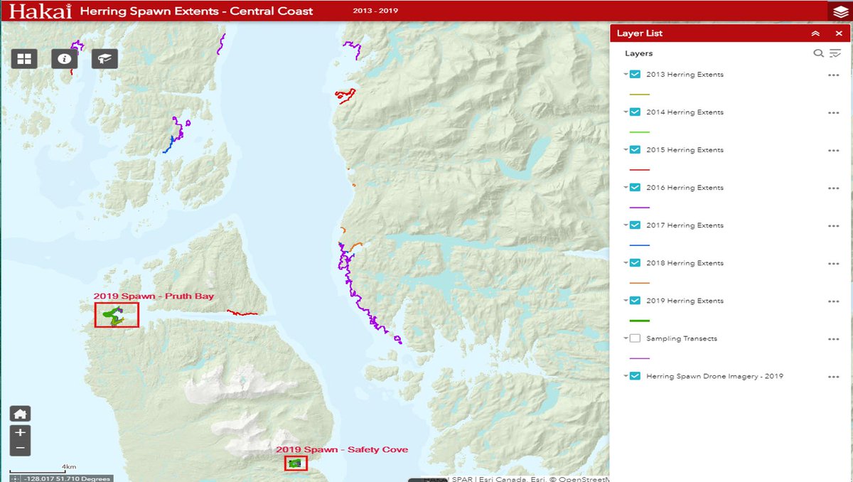 HakaiInstitute's tweet photo. #Herring have continued to #spawn, turning the waters of Safety Cove to milk. But why THAT cove THIS year? Our scientists have been keeping track of spawn locations since 2013 to tease this question apart. Explore: https://t.co/UvzL9lnxFb 

Pics @KHinc @HakaiGeospatial https://t.co/A0g46JKnRq