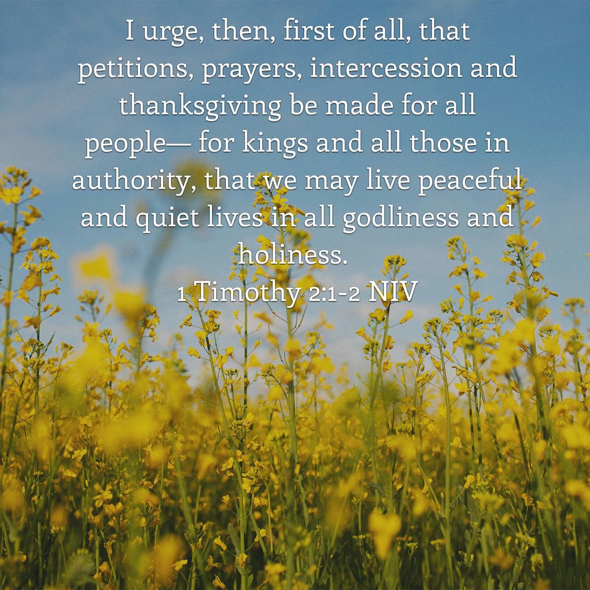 Blessit4ward's tweet photo. Praying for our #government and leaders to govern and lead with wisdom,  grace and integrity, as they are currently arguing among themselves like  #squabblingchildren
and getting nowhere fast ! 
#Brexit #BrexitChaos https://t.co/3tVqCKD1P9