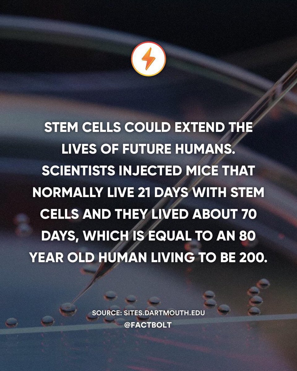 via <a href="/factbolt/">factbolt</a> #stem #stemcellresearch #stemcells #Caverstem