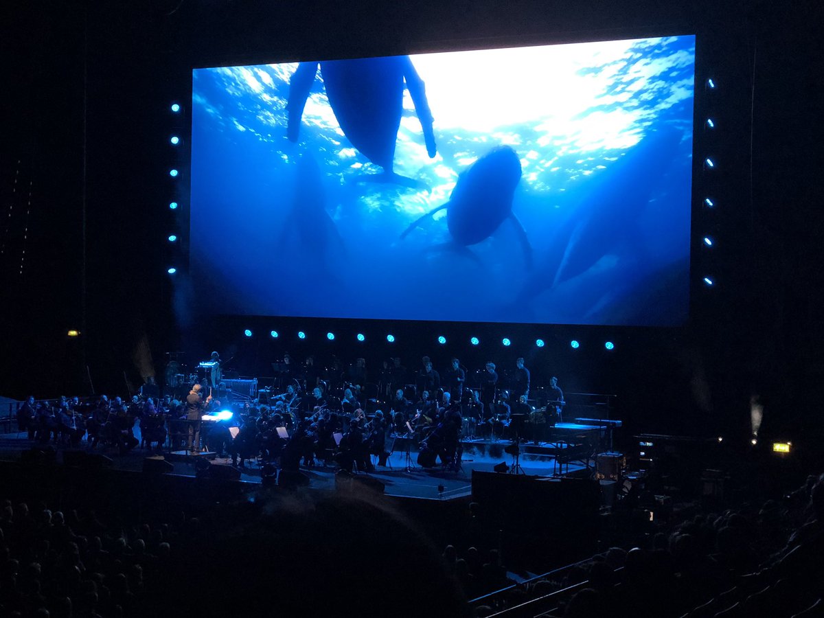 SciPriCD's tweet photo. Loved watching Blue Planet II live in concert! #DavidAttenborough #BluePlanetLive #BluePlanet #scipri https://t.co/y41kDJpeHh