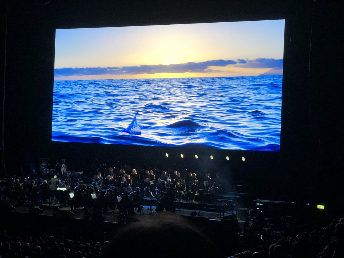 SciPriCD's tweet photo. Loved watching Blue Planet II live in concert! #DavidAttenborough #BluePlanetLive #BluePlanet #scipri https://t.co/y41kDJpeHh