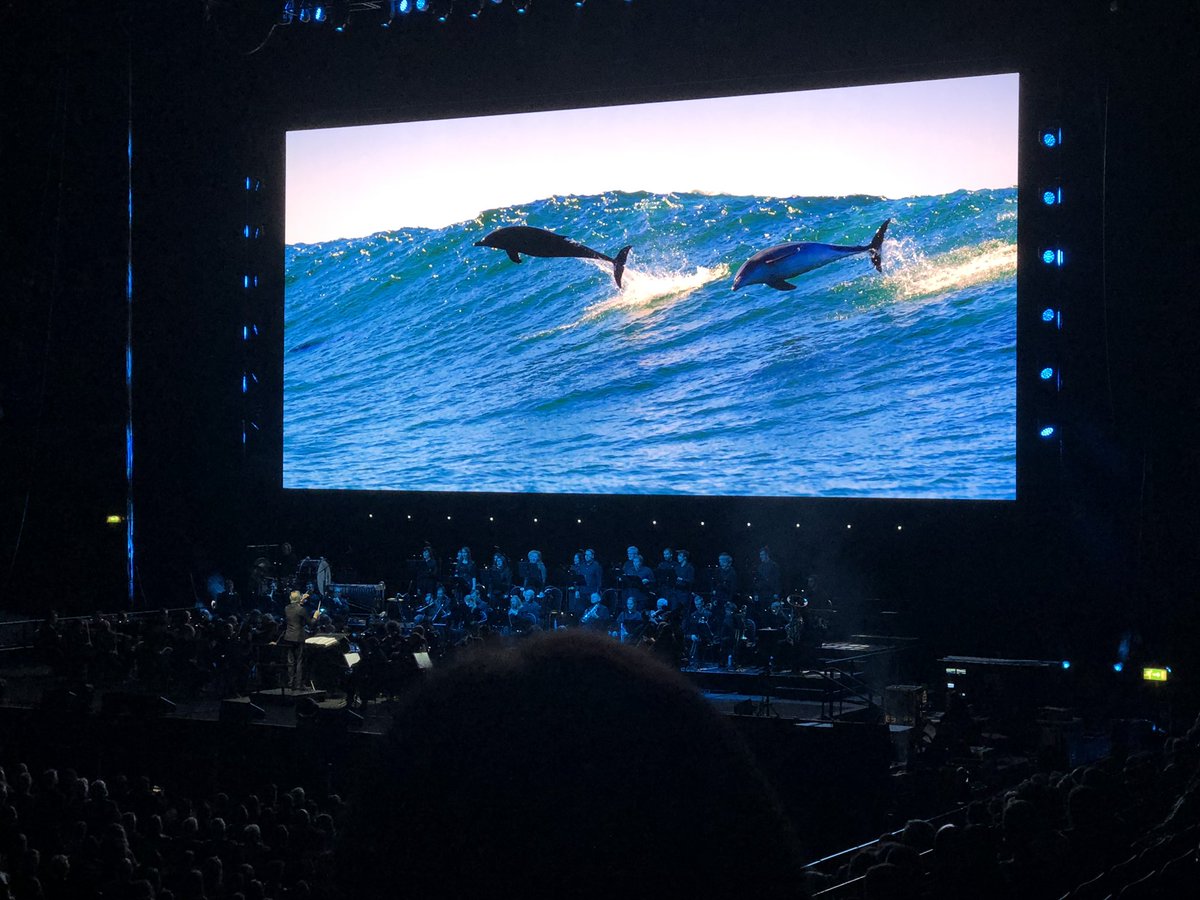 SciPriCD's tweet photo. Loved watching Blue Planet II live in concert! #DavidAttenborough #BluePlanetLive #BluePlanet #scipri https://t.co/y41kDJpeHh